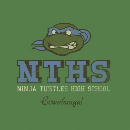 Ninja Turtles High