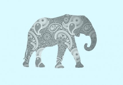 Paisley Elephant