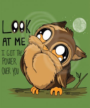 Owl – Look at Me