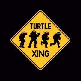 Turtle XING
