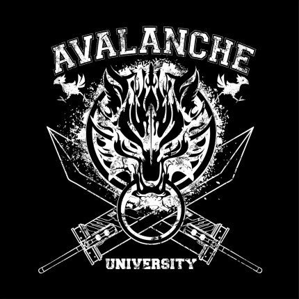 Avalanche University