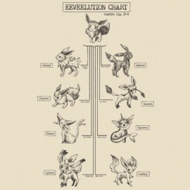 Eeveelution Chart
