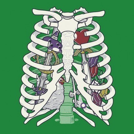 Anatomy of a Hero of Time