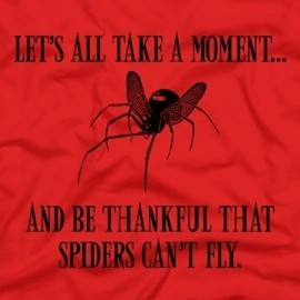 Spiders Can’t Fly