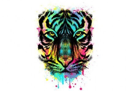Hunting For Colors