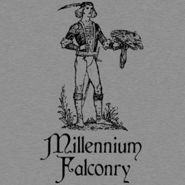 Millennium Falconry