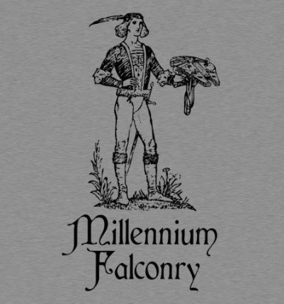 Millennium Falconry