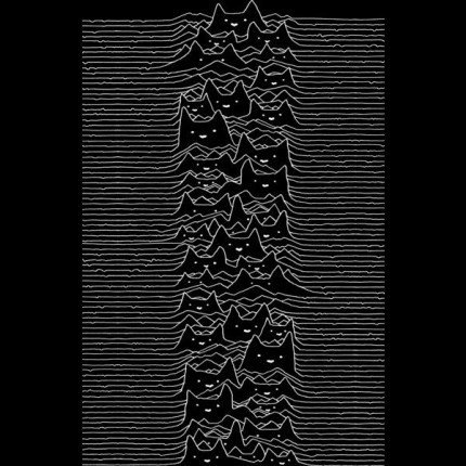 Furr Division