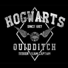 Hogwarts Quidditch