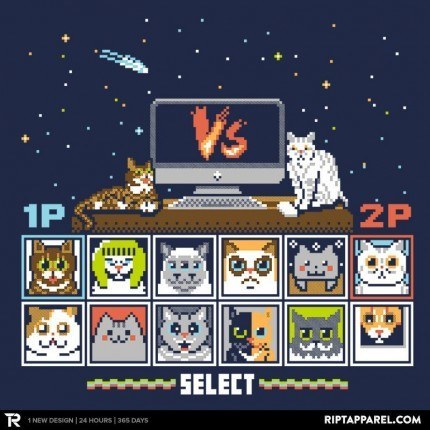 Internet Cat Fight!