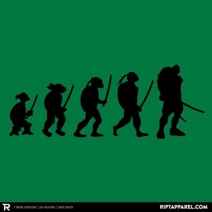 Turtle Evolution