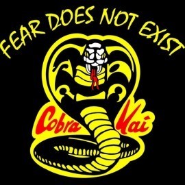 Cobra Kai – Fear Does Not Exist