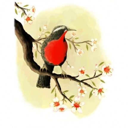 Bird and Blossoms