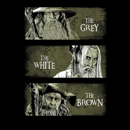 Wizards of Middle Earth