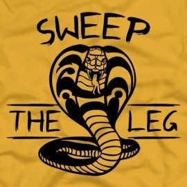 Sweep The Leg