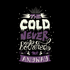 The Cold Never Bothered Me Anyway