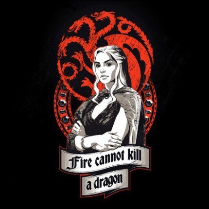 Fire Cannot Kill A Dragon