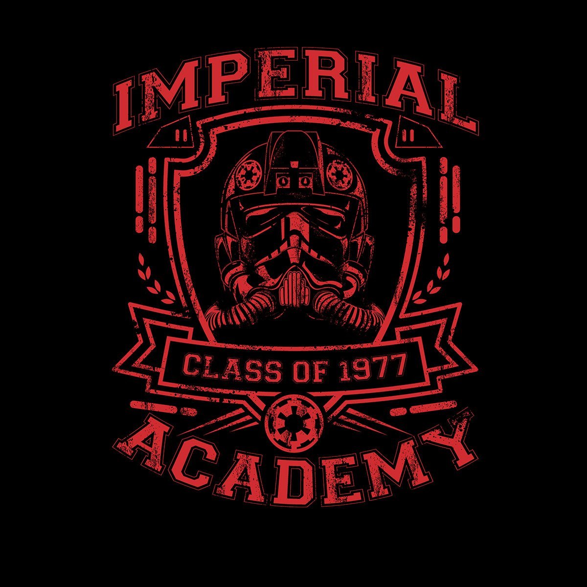 Иван константинович айвазовский. 501 легион косплей. Косплееры 501 легион. Академии галактической империи. Флотская академия звездные войны.