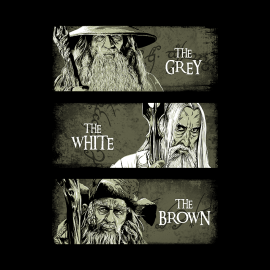 Wizards of Middle-Earth