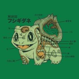 Bulbasaur Anatomy