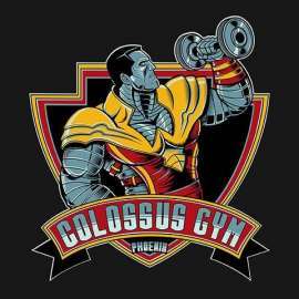 1.3 Colossus Phoenix Gym
