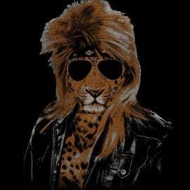 Def Leopard
