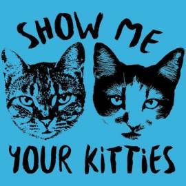 Show Me Your Kitties Cat