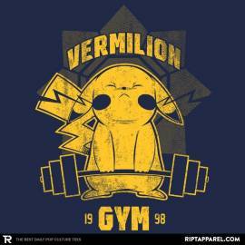 Vermilion Gym