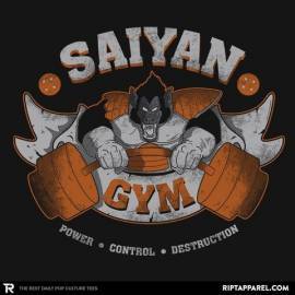 Saiyan Gym 2.0