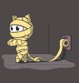 Mummy Cat