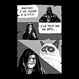 Darth Kitty