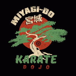 Miyagi-Do Karate Dojo