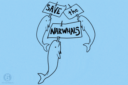 Save the Narwhals