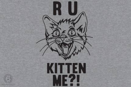 R U Kitten Me