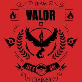 Team Valor (Black)