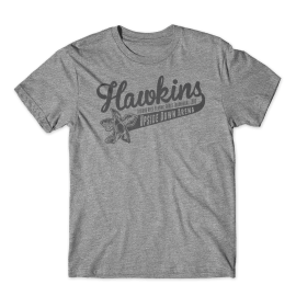 Hawkins Role Playing Tournament