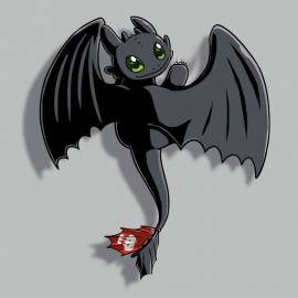 Toothless On Your Back