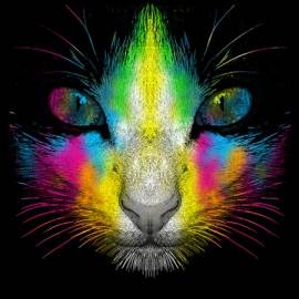 Techni Color Cat