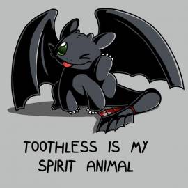 Toothless Is My Spirit Animal