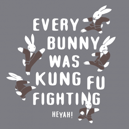 Every Bunny Was Kung Fu Fighting