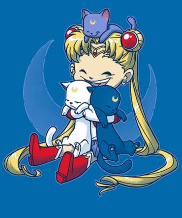 Crazy Moon Cat Lady