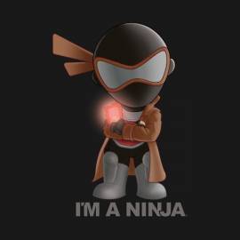 The Raging Ninja x I'M A NINJA