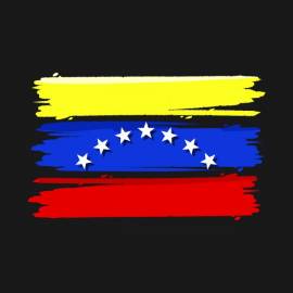 Venezuela, Venezuelan Stars Flag Colors, Pride, Country T-shirt