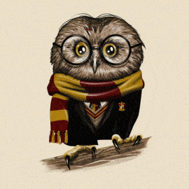 Owly Potter