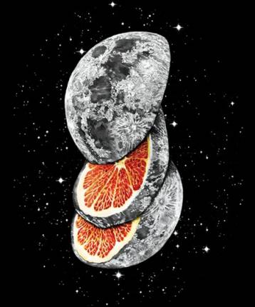 Lunar Fruit