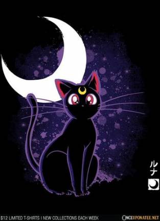 The Cat