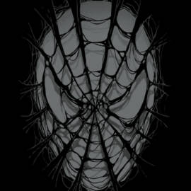 SpiderWeb