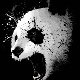 Panda Splash