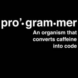 Definition of programmer