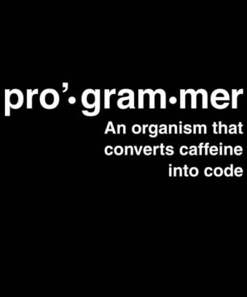Definition of programmer